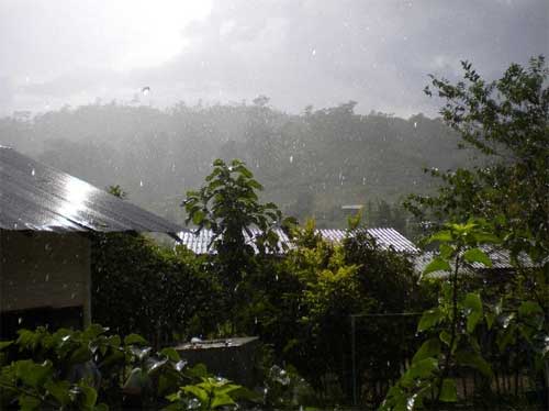 Pluie dans la campagne de Chiang Mai