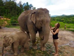 Visiter le Chiang Mai Elephant Sanctuary