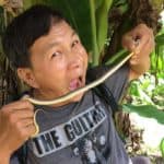 Prasong, guide francophone de trek à Chiang Mai