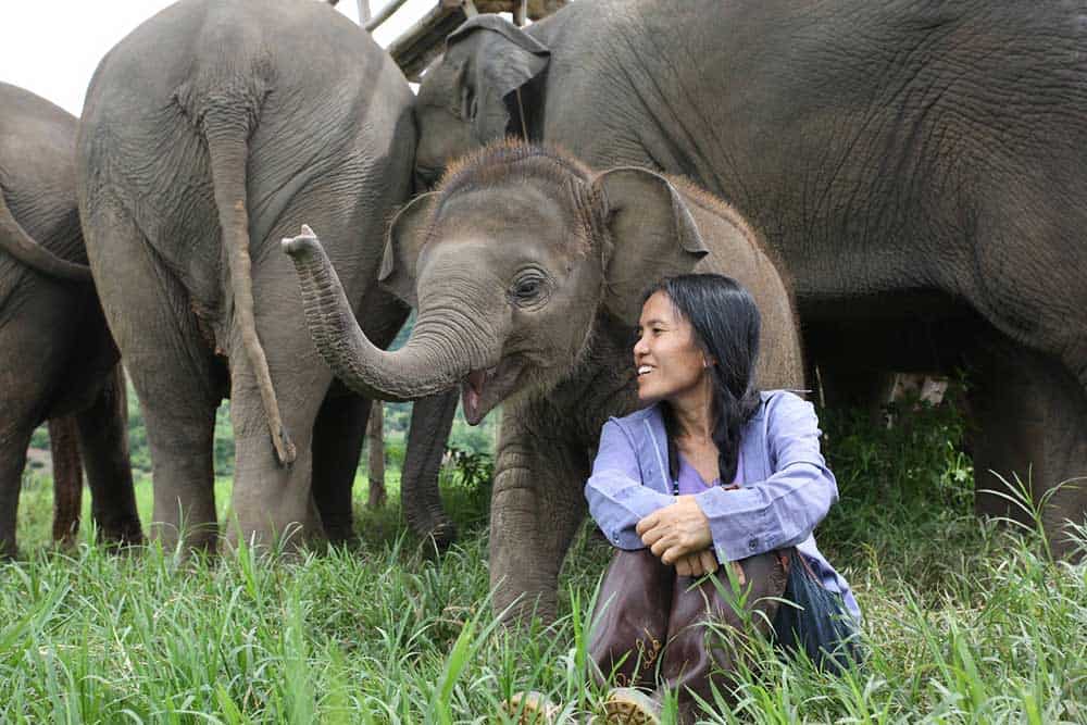 Sangduen Chailert alias Lek elephant nature park chiang mai