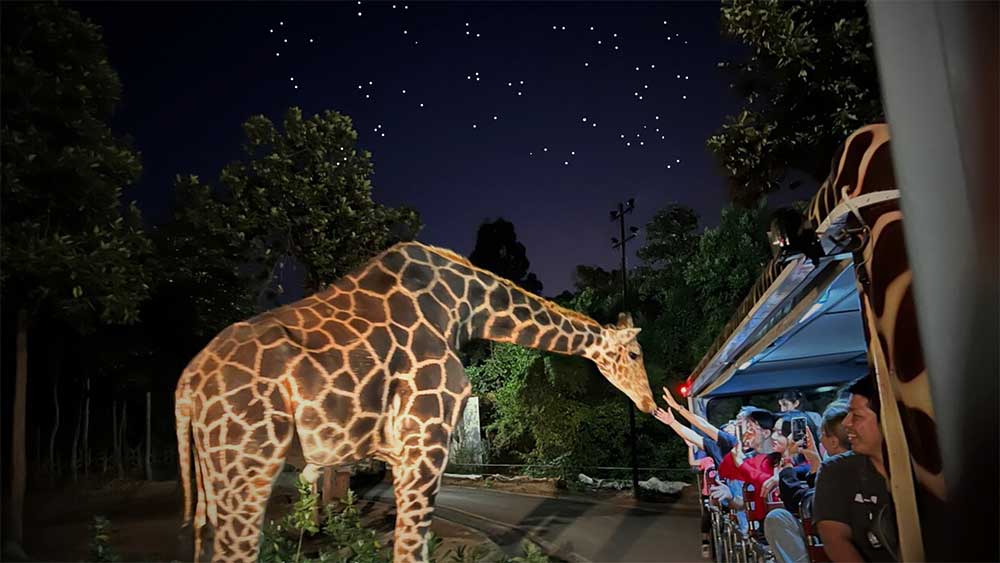 girafe au night safari - Chiang Mai