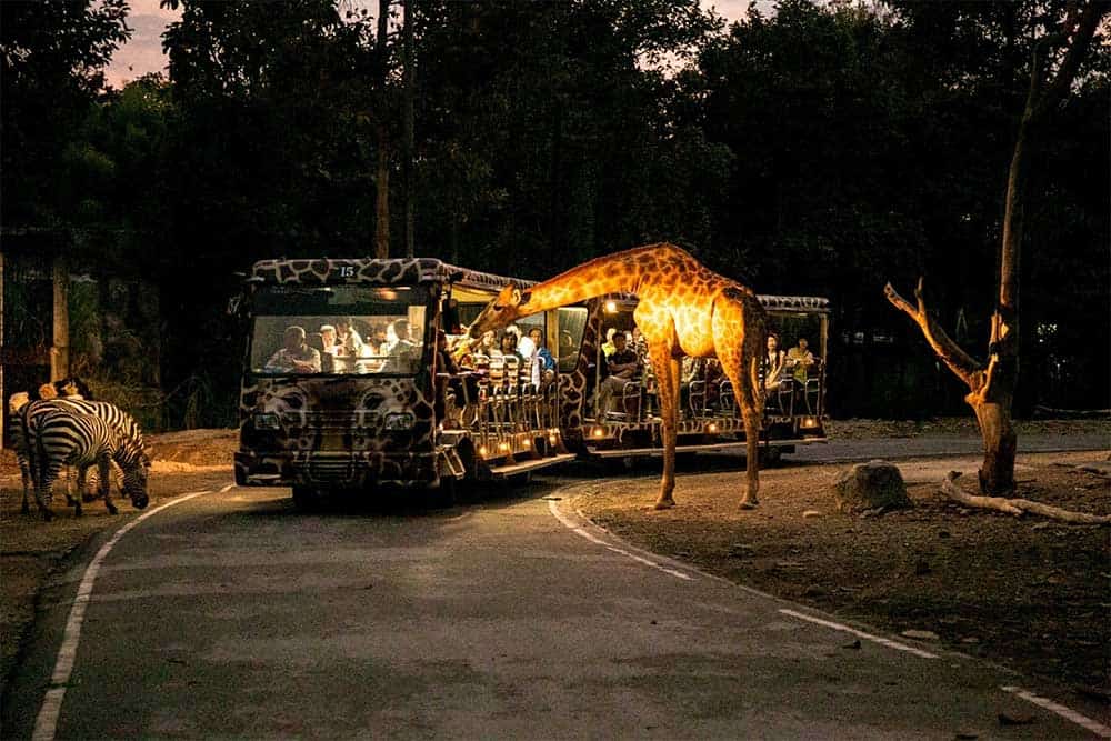 Le tram du Chiang Mai Night Safari